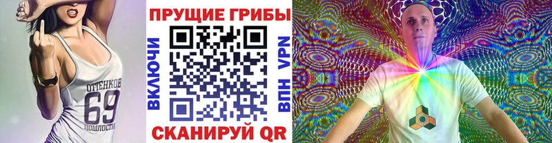 OMG как зайти  Камешково  Псилоцибиновые грибы Magic Shrooms 